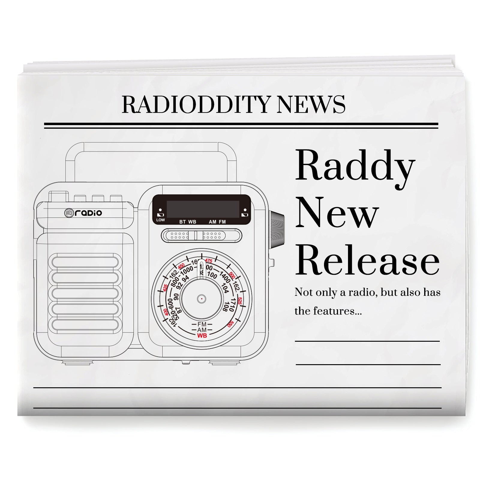 Raddy RW3 Guessing Game