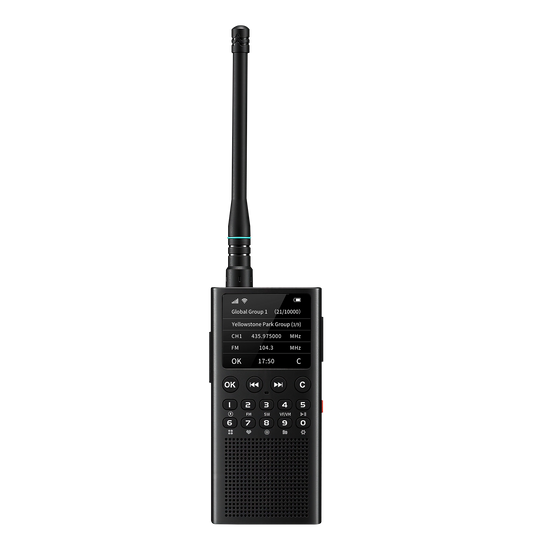 Black WT2 on a white background