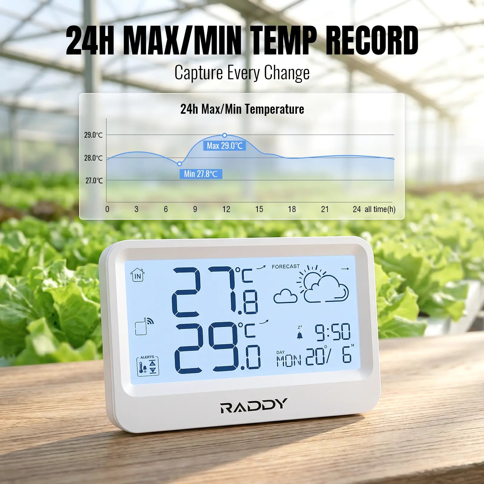 Raddy WF-60 Digital Home Weather Station |   Indoor Outdoor Thermometer | Weather Forecast | Professional Temp | Frost Alarm | Alarm Clock | Battery Operated - Radioddity