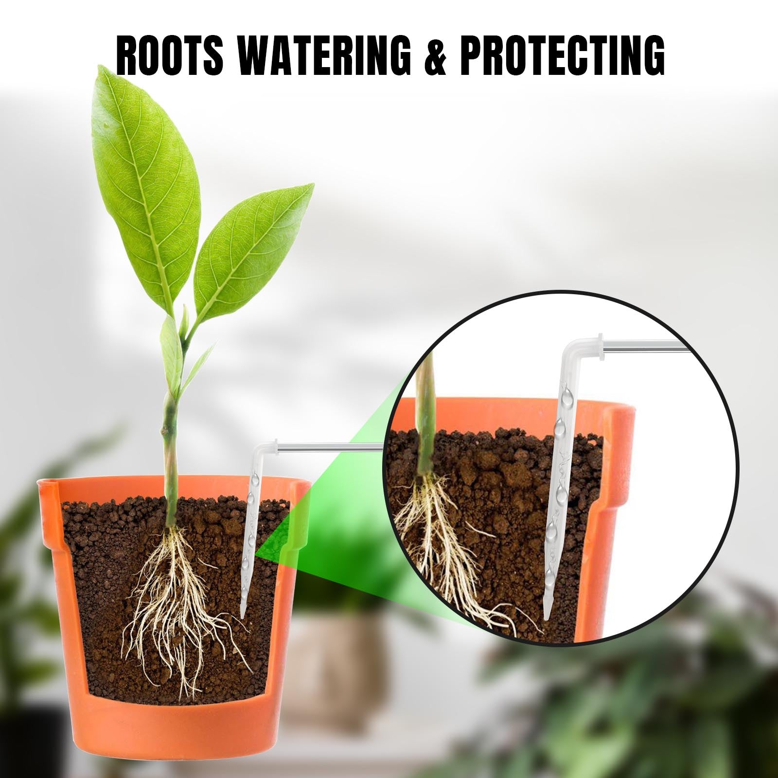 Raddy WS-6 roots watering & protecting