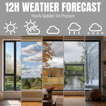 Raddy WT-2 Window Thermometer | Barometric Pressure | Weather Forecast | Magnetic | Temperature Monitor | Transparent LCD Display | Battery Powered - Radioddity