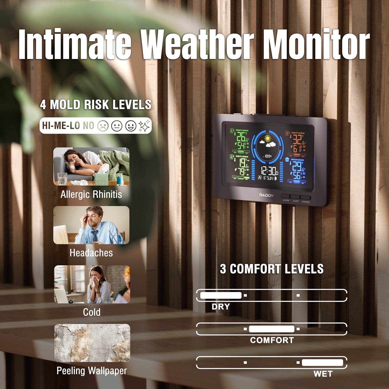 Raddy WF-80C | Intimate Weather Monitor