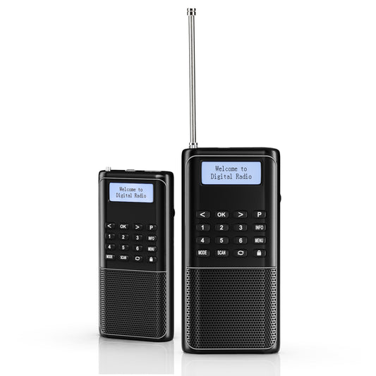 Raddy RD23 Tragbares DAB Radio | Bluetooth-Verbindung | Batteriebetrieben - Radioddity