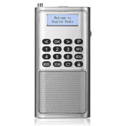 Raddy RD23 Tragbares DAB Radio | Bluetooth-Verbindung | Batteriebetrieben - Radioddity