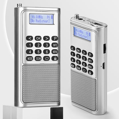 Raddy RD23 Tragbares DAB Radio | Bluetooth-Verbindung | Batteriebetrieben - Radioddity