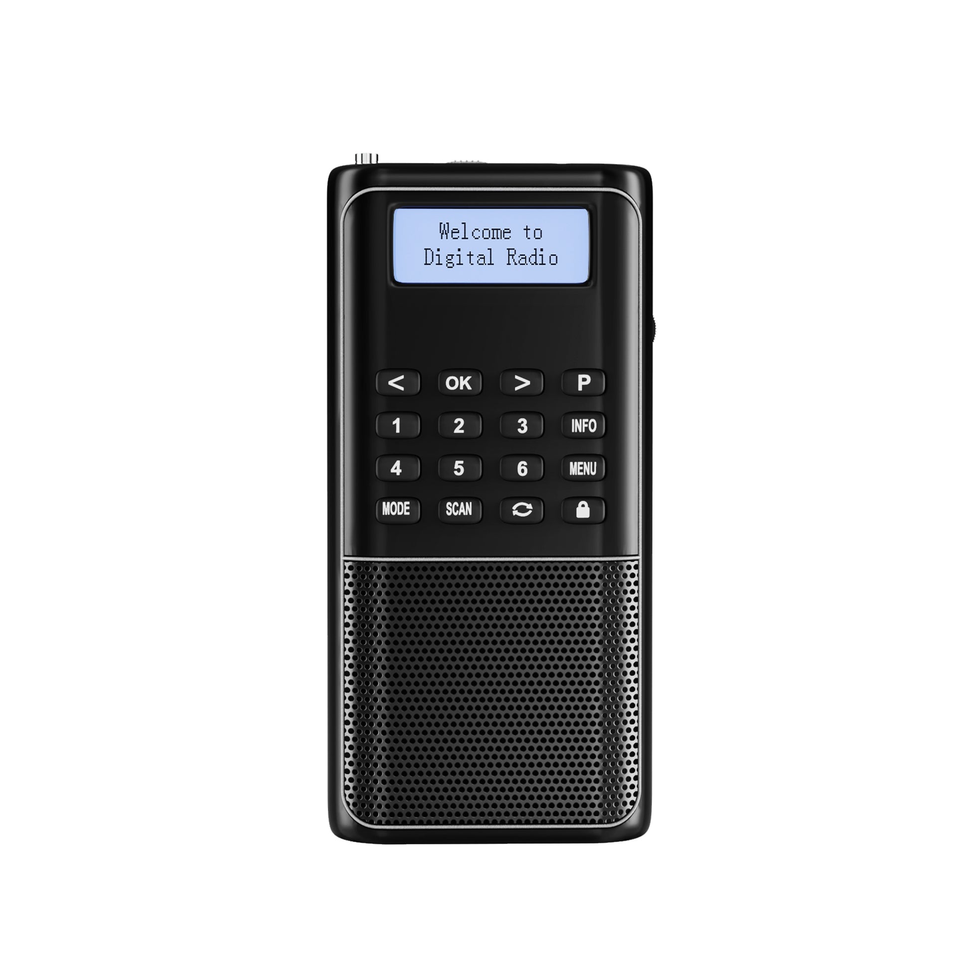 Raddy RD23 Tragbares DAB Radio | Bluetooth-Verbindung | Batteriebetrieben - Radioddity