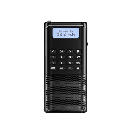 Raddy RD23 Tragbares DAB Radio | Bluetooth-Verbindung | Batteriebetrieben - Radioddity